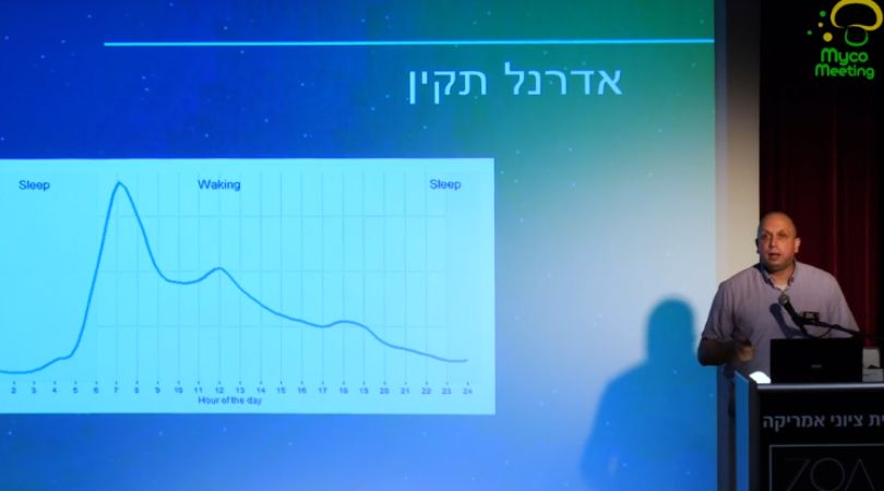 רון יפה - כנס הפטריות